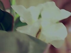 Babes_041 New Star's Explicit Debut-Hot Blowjob & Deep Anal Thrills!