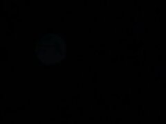 SPSA54_01 Two Japanese Schoolgirls-A Steamy Duo's Intimate Adventure