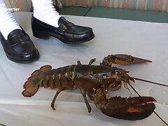 hiyori1-1-3full Naughty Japanese Students-After-School Dick-Sucking Adventures!