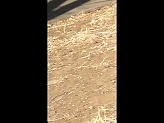 niko13 Power Play-Seductive Oriental Boss Enacts Revenge with Intense Sex Acts