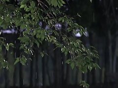 CAWD-612 Passionate Journey-Exploring Submissive Japanese Beauty's Depths