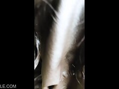 OTF263X-77156 Passionate Night-Asian Beauty's Forbidden Pleasure Journey