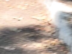 mamasan-01 Japanese Sensual Star-Hairy Pussy Tease & Intense Cock Suck Showdown!